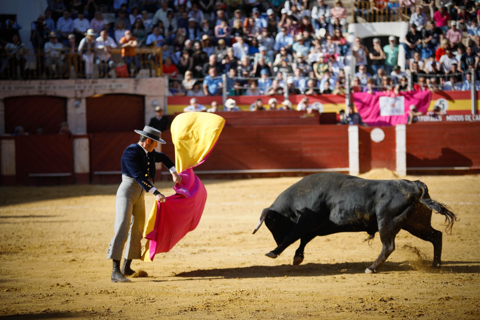 Imágenes del festival mixto lucha contra el cáncer