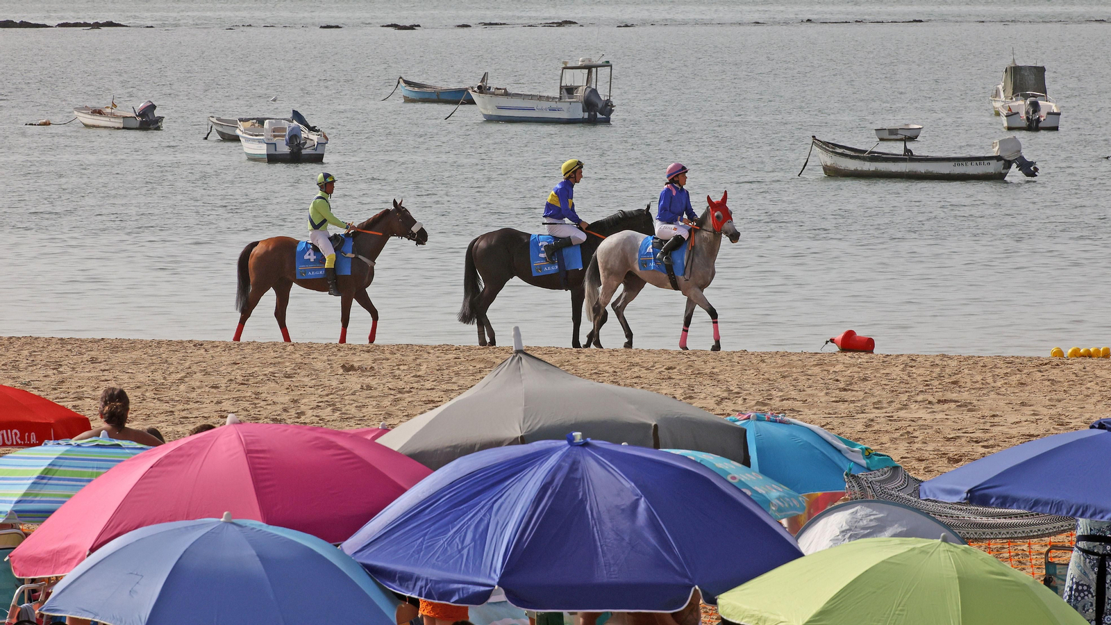 Segunda jornada del primer ciclo de las Carreras de Caballos de Sanlúcar