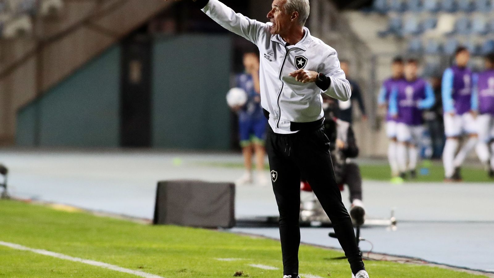 Luis Castro, en un partido del Botafogo.