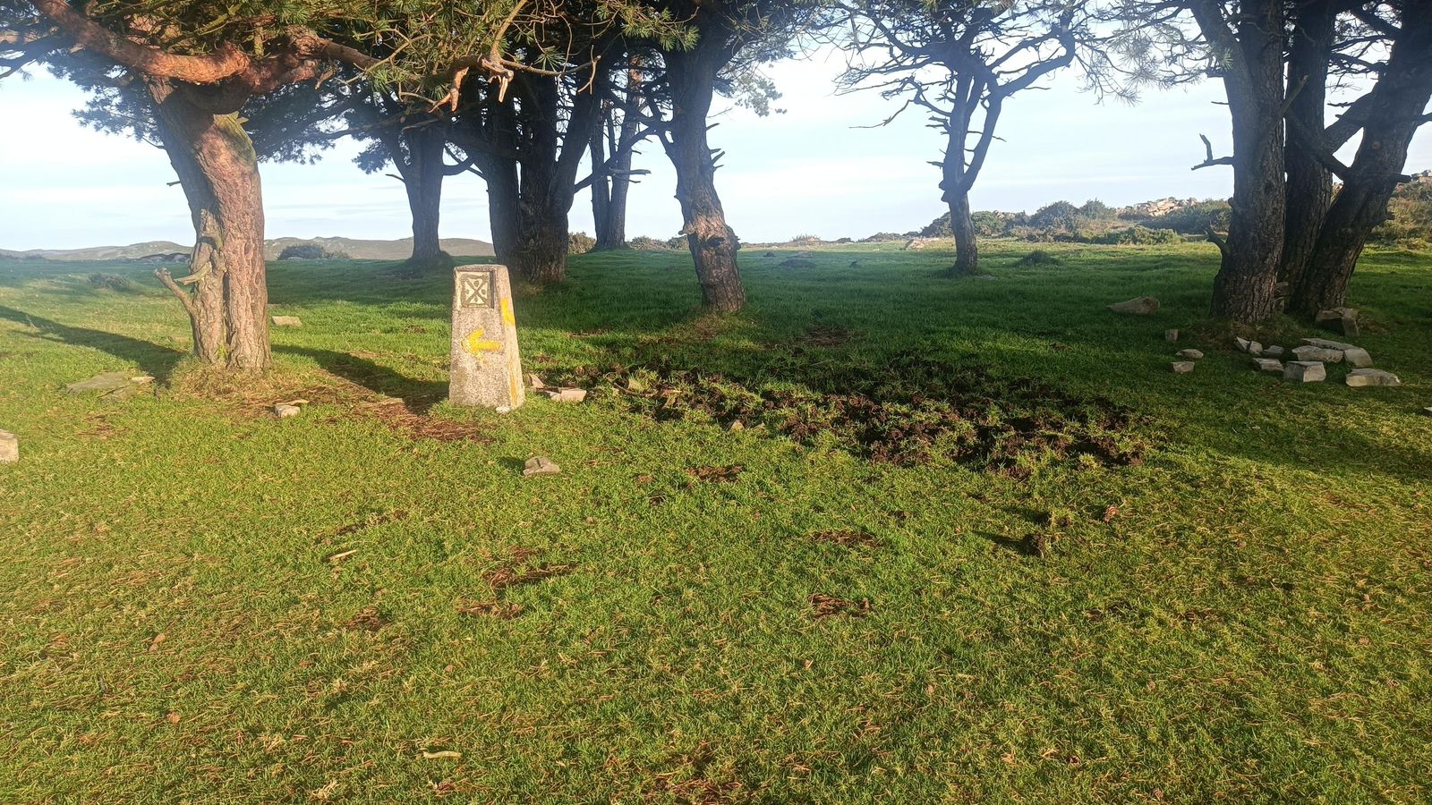 Un pequeño descanso entre cuesta y cuesta.