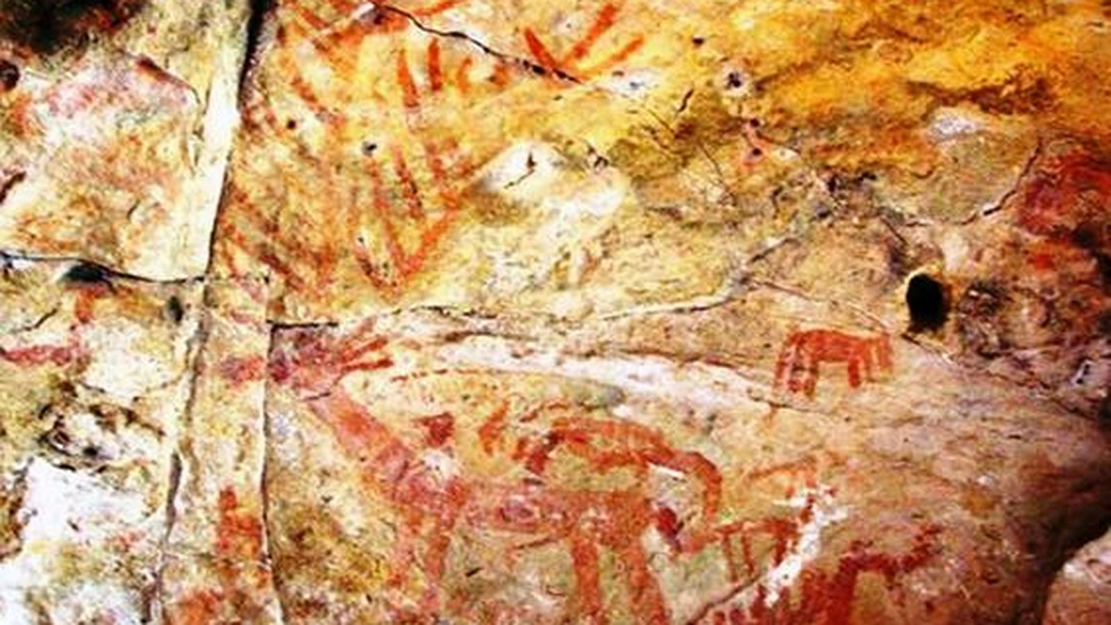 Panel principal de cérvidos