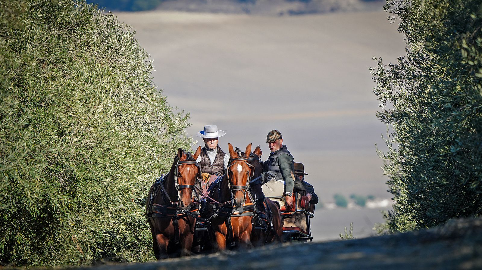 I Ruta de Carruajes Viñas de Jerez