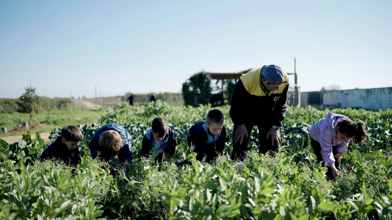 Un huerto 🍅de referencia que comparten escolares y mayores