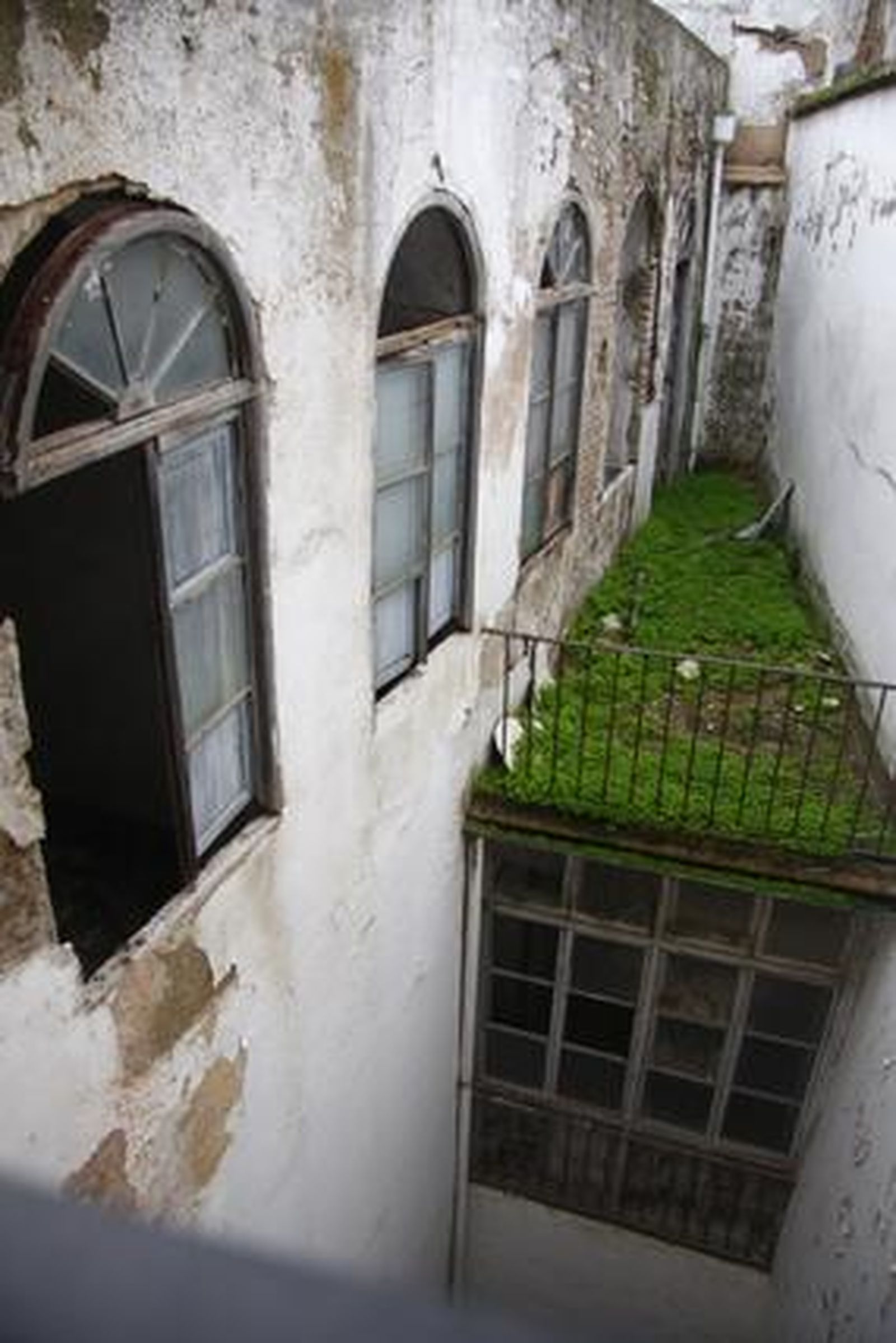 El convento Madre de Dios muestra unos tejados, esculturas, pinturas y muros plagados de desperfectos que demuestran su mal estado de conservación.

Foto: Belén Vargas