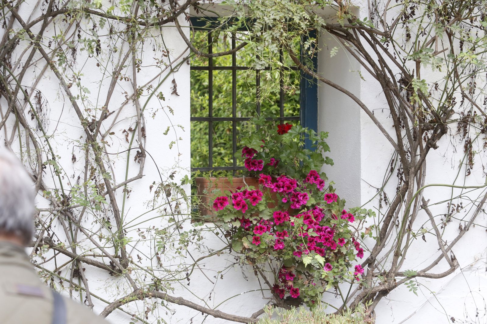 La jornada de puertas abiertas del Palacio de Viana, en imágenes