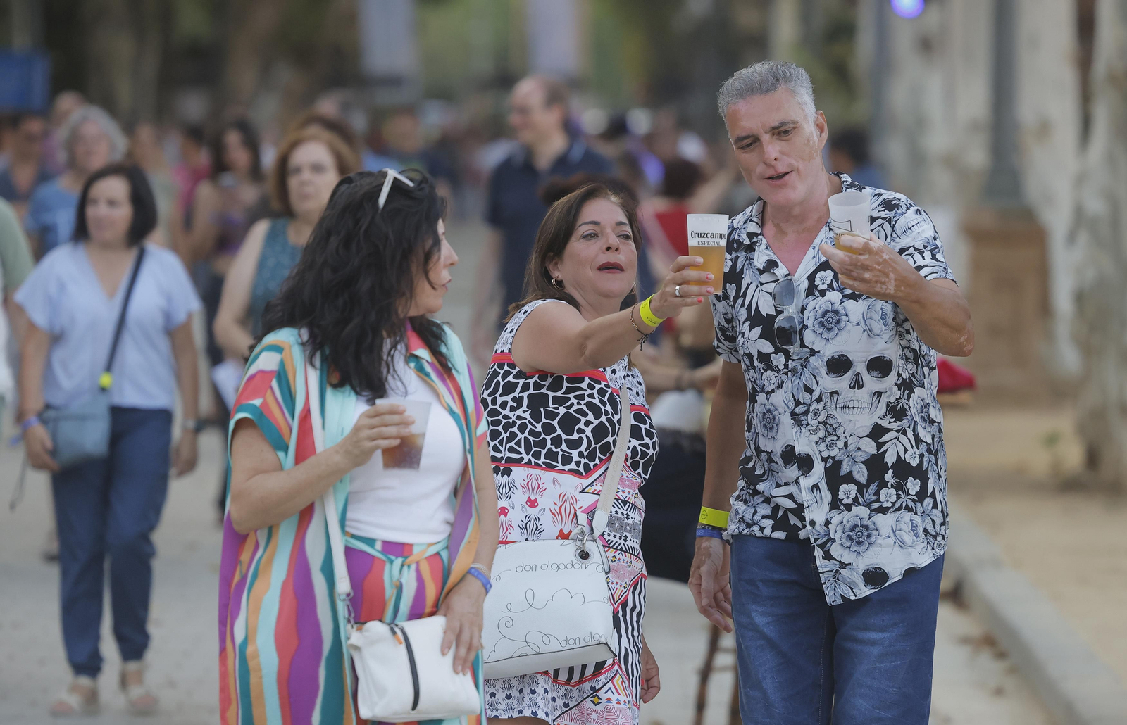 Búscate entre las fotos del concierto de Ana Torroja