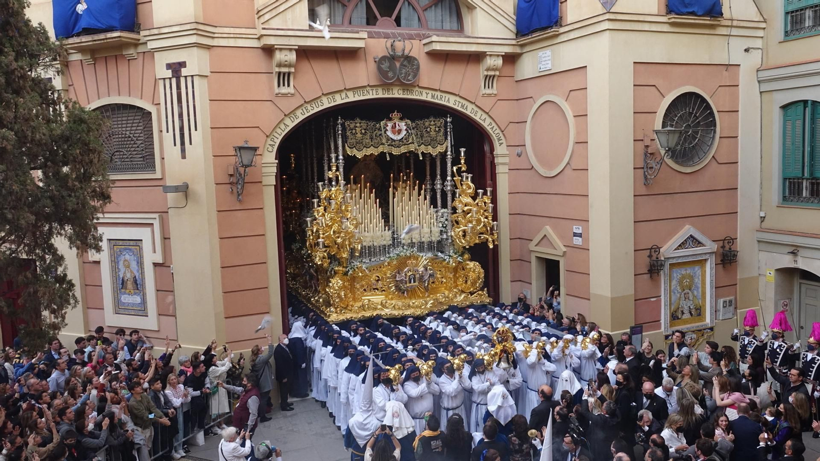 Las fotos de la Paloma, en el Miércoles Santo de Málaga