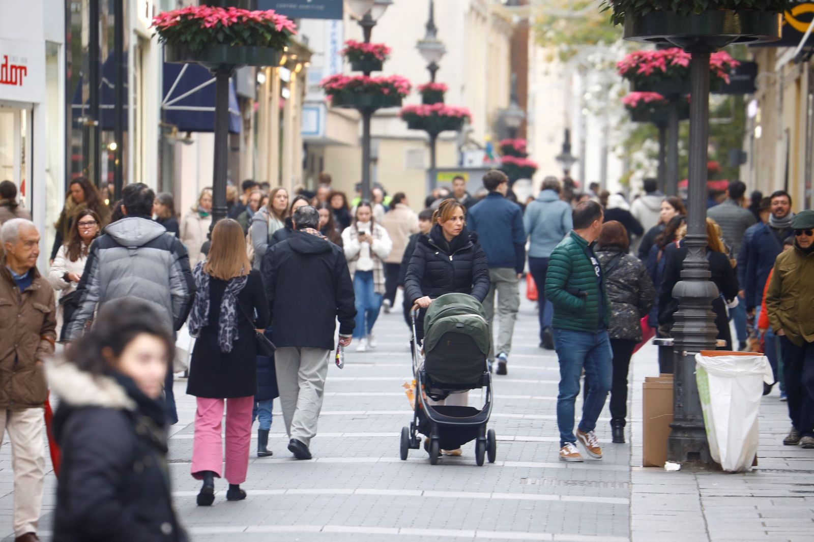 Los cordobeses ultiman las compras de Navidad, en imágenes