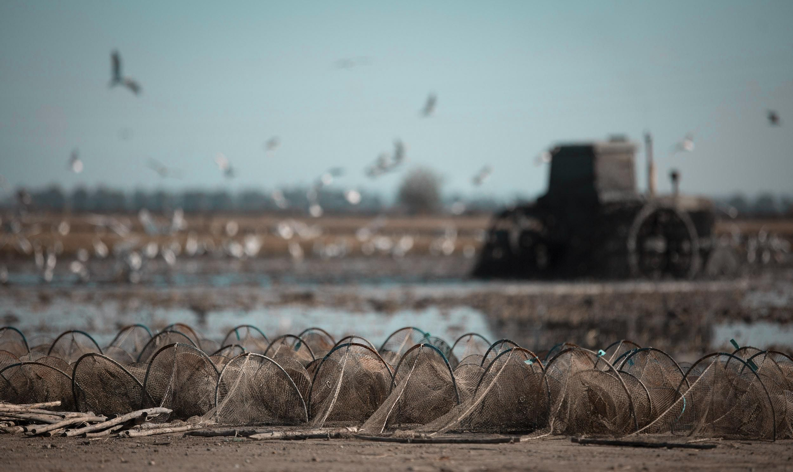 La ruta del arroz, en imágenes