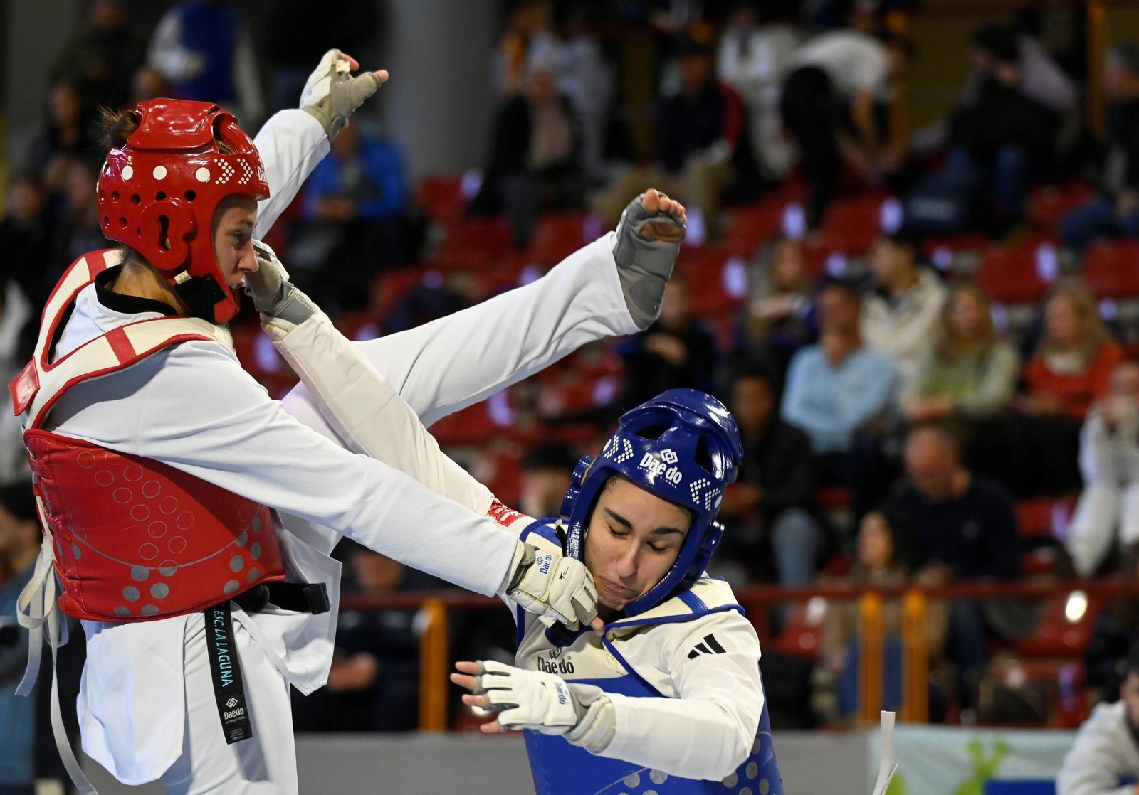 Las mejores fotos del Open Internacional de Andalucía de taekwondo en Córdoba