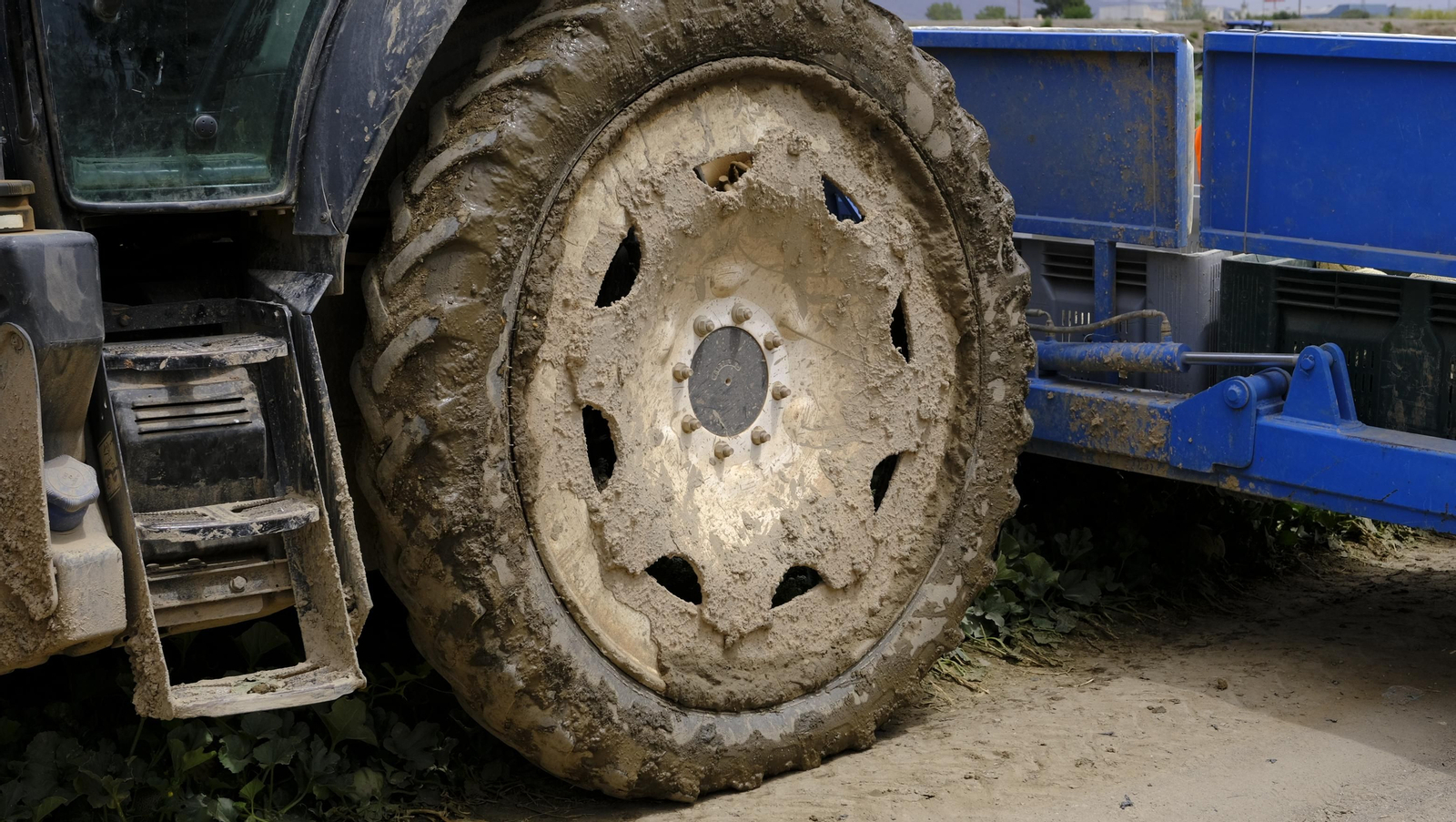 La sandía y el melón de Huércal Overa, manjares en imágenes