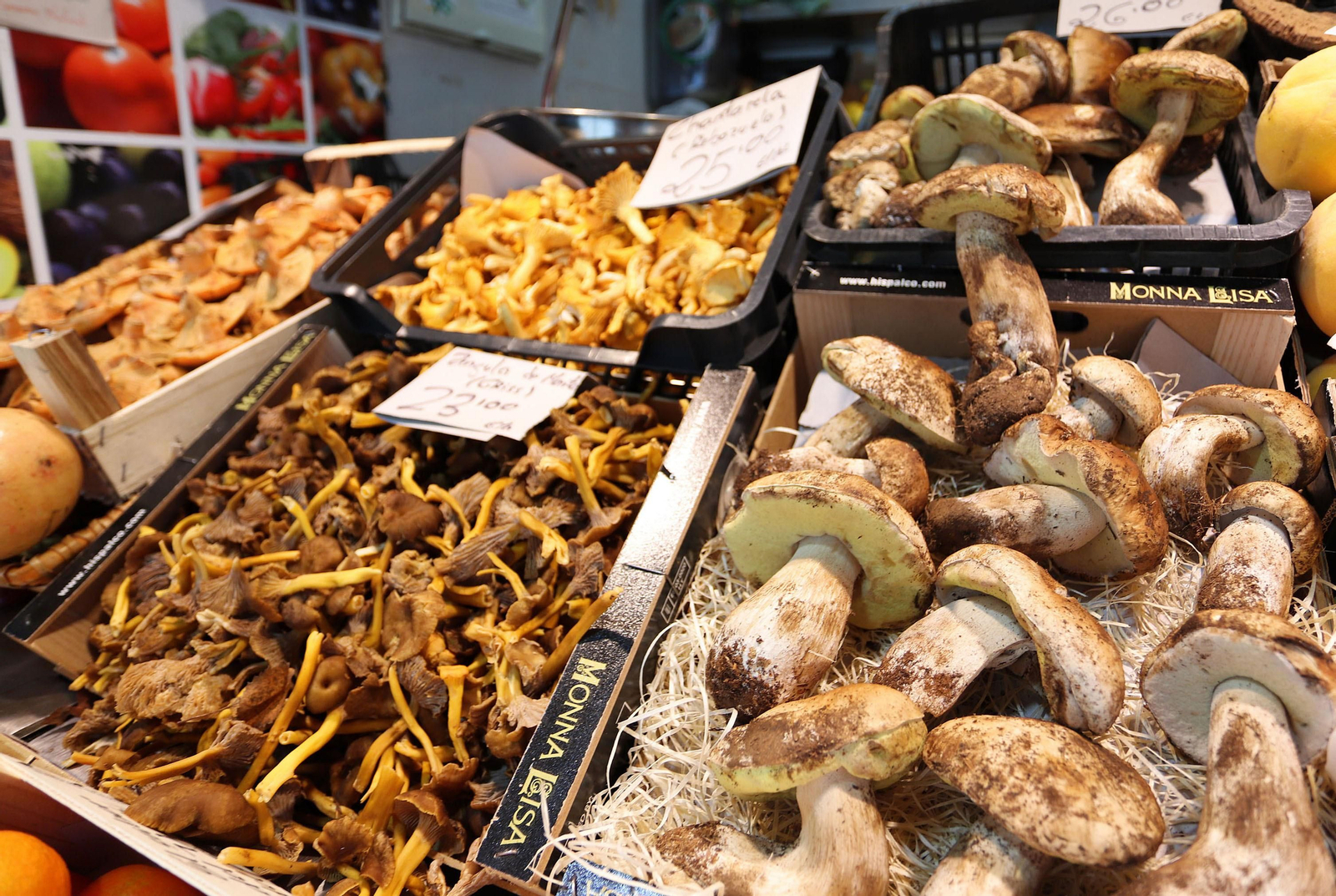 Estas son las mejores setas de Huelva para comer en otoño