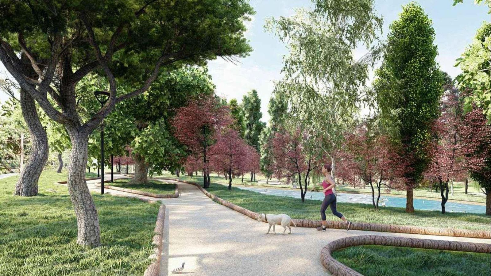 Infografía del proyecto Bosque Urbano.