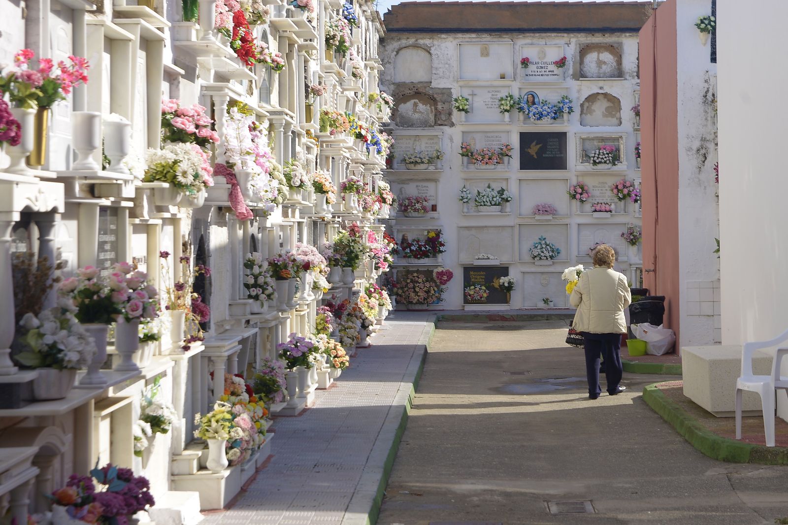 Fotos de la víspera de los Tosantos