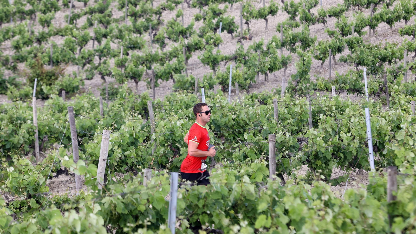 Búscate en la Sherry Maratón 2025 de Jerez (I)