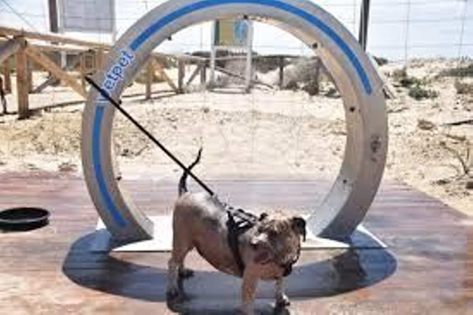 Playa de Camposoto (San Fernando)