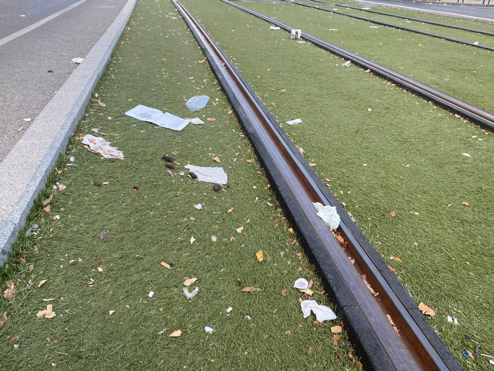 Bolsas y plásticos en el tranvía de Jaén