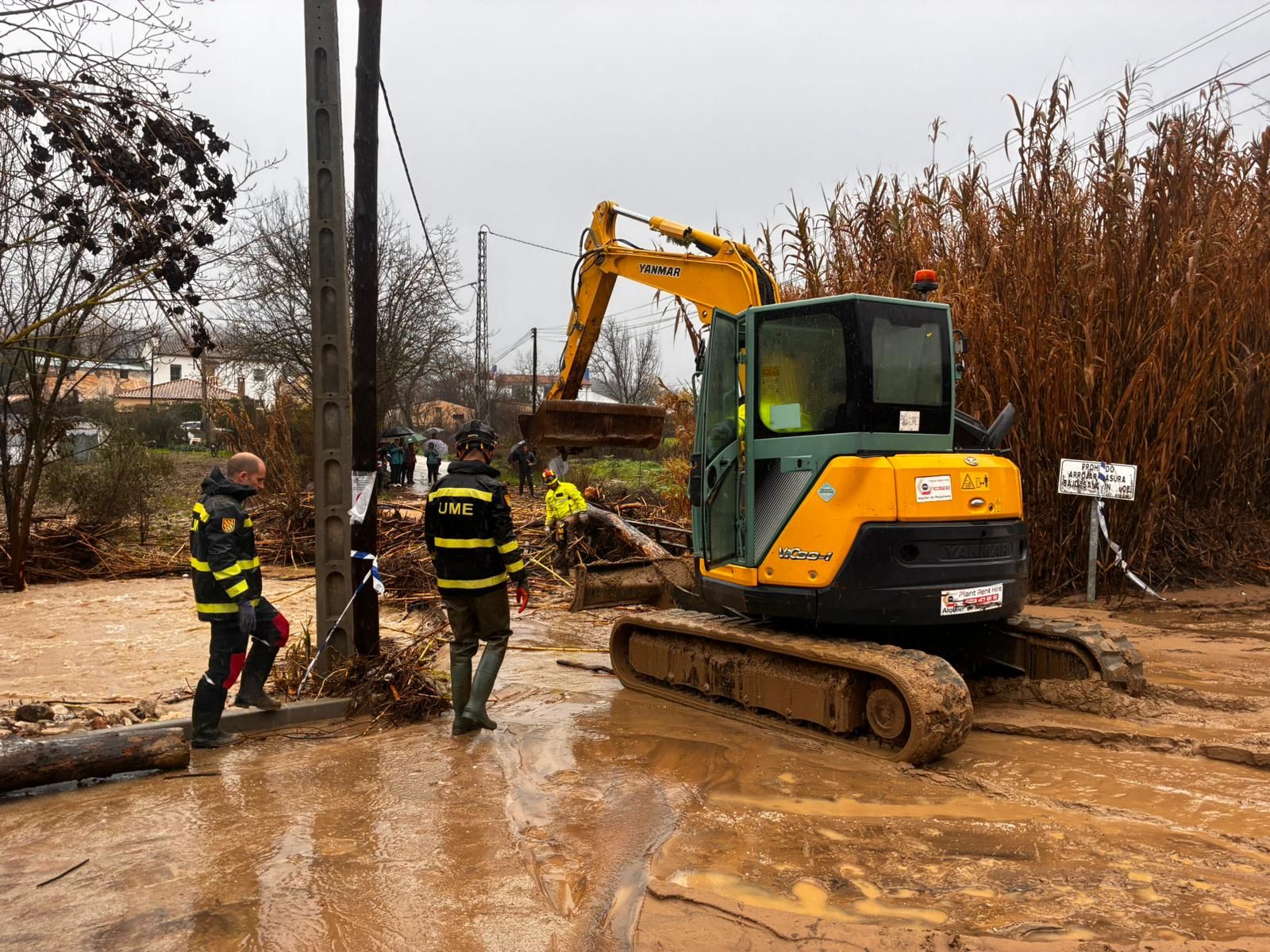 La UME ya trabaja en la Serranía de Ronda para despejar caminos