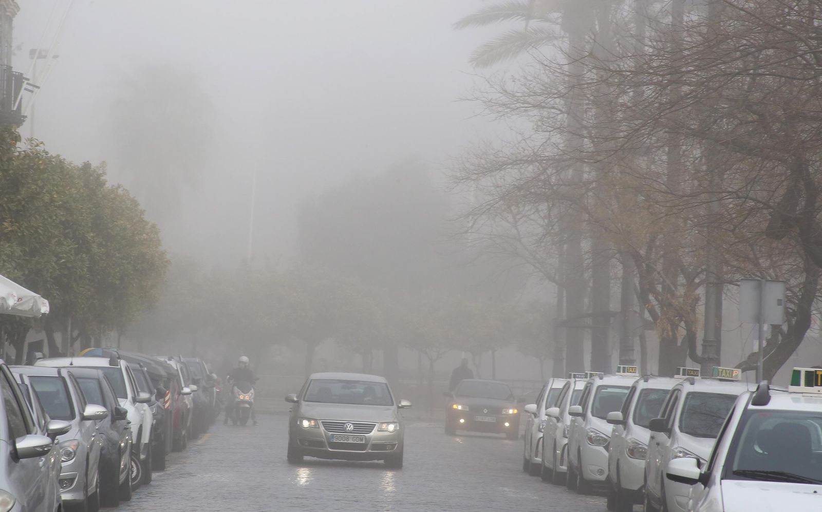 Imágenes de Jerez bajo la niebla