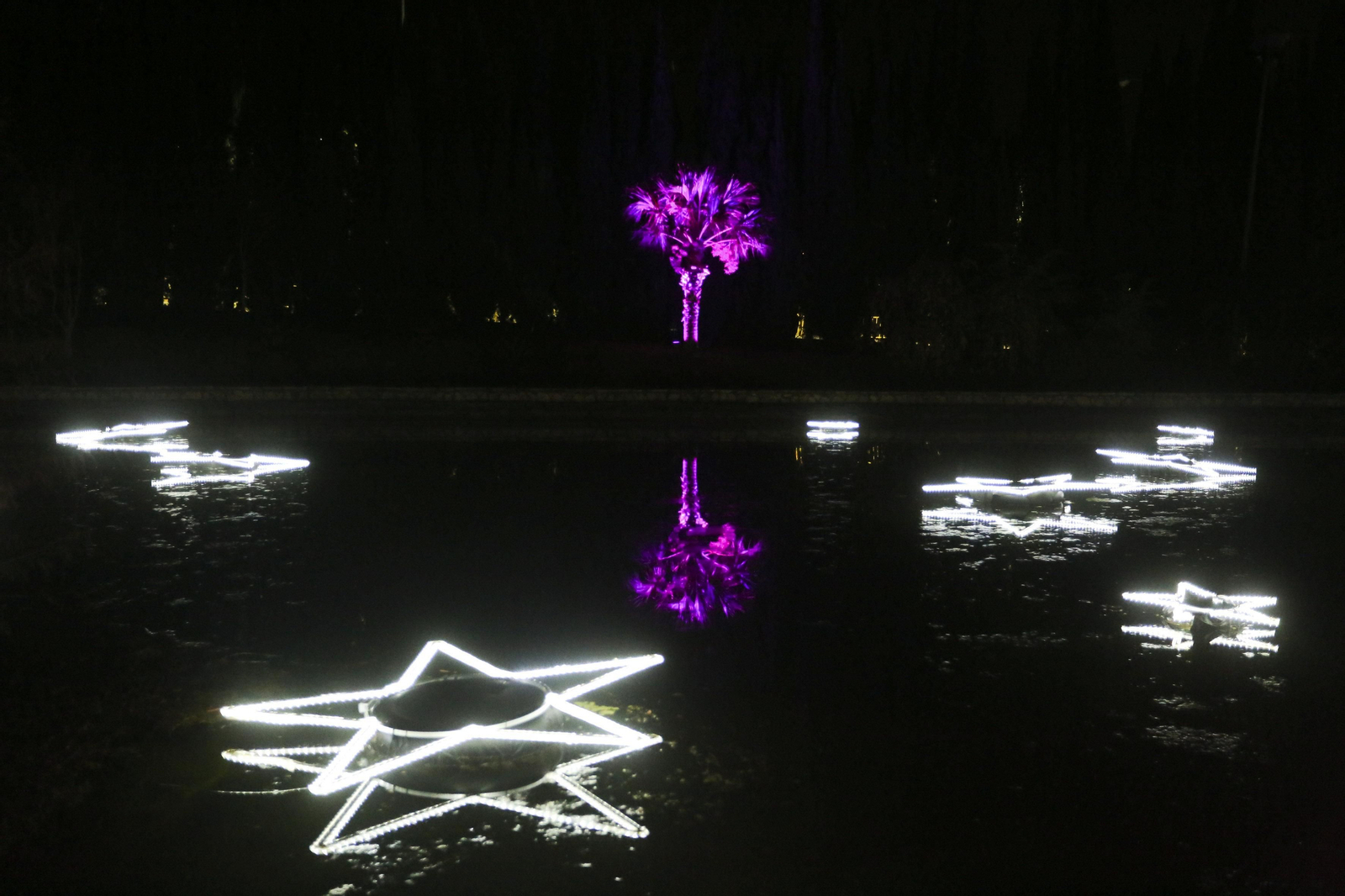 Las luces del Jardín Botánico de Málaga esta Navidad, en fotos