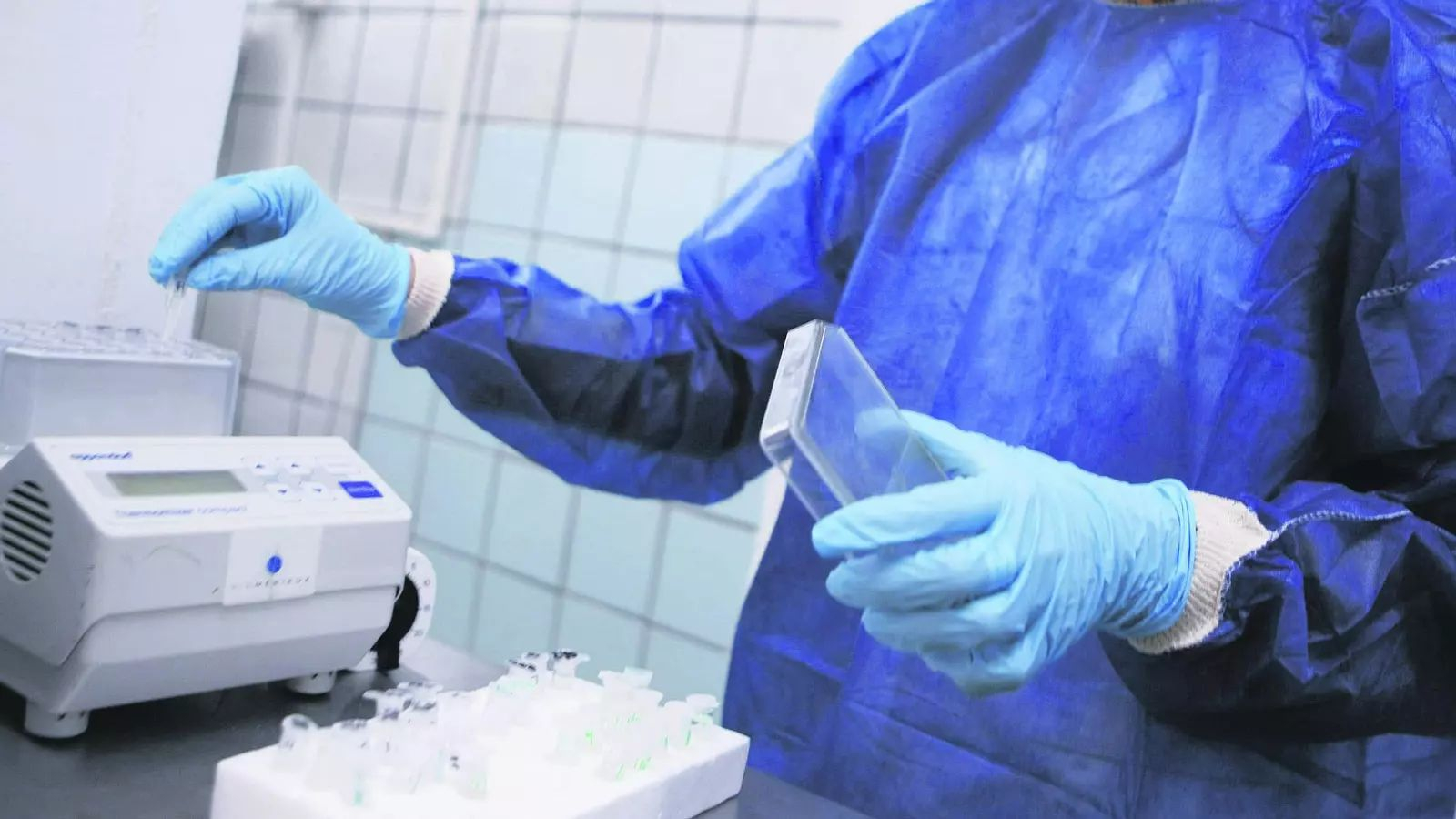 Análisis de laboratorio.