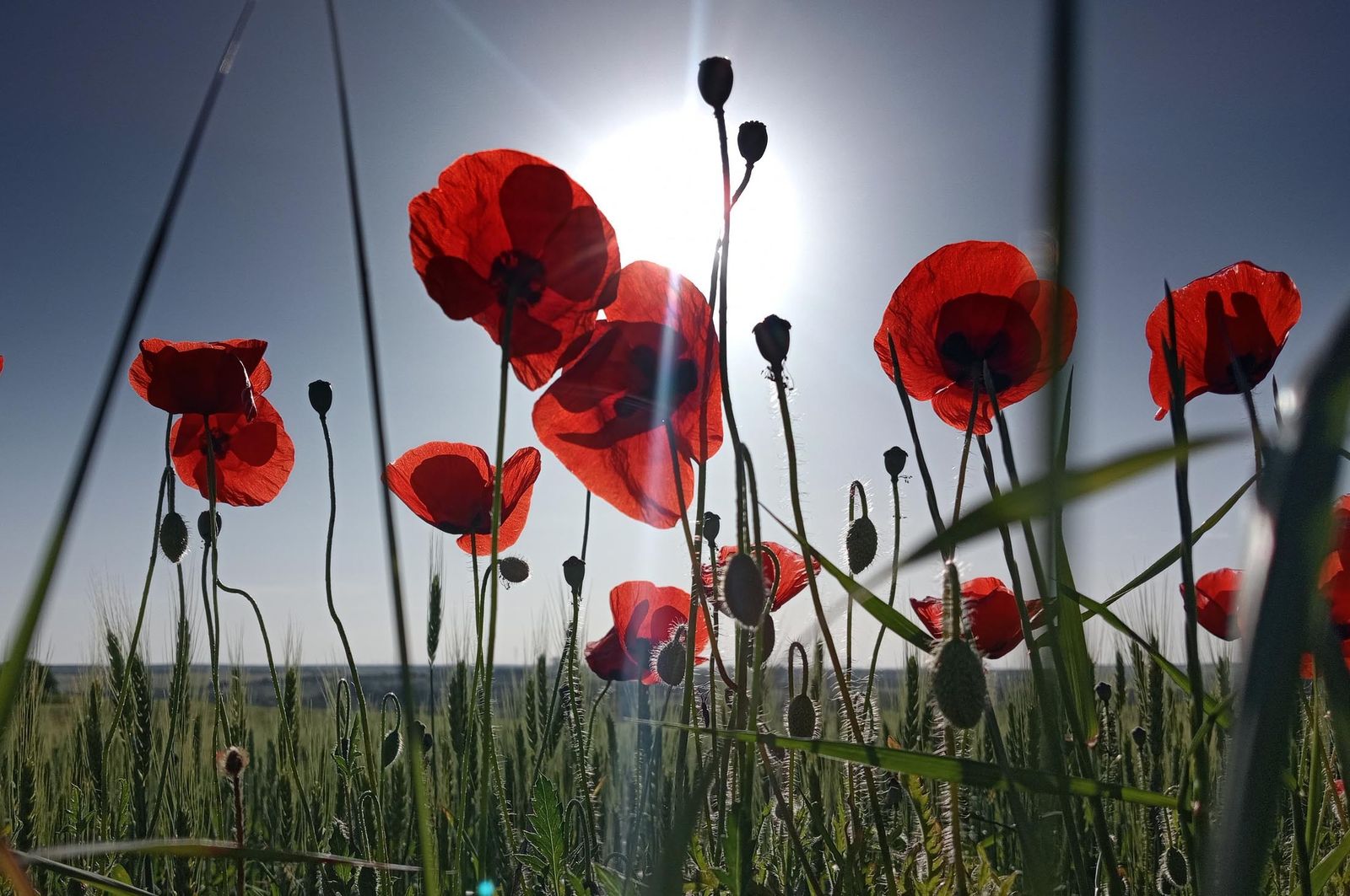 Imágenes del domingo 14 de abril en Huelva