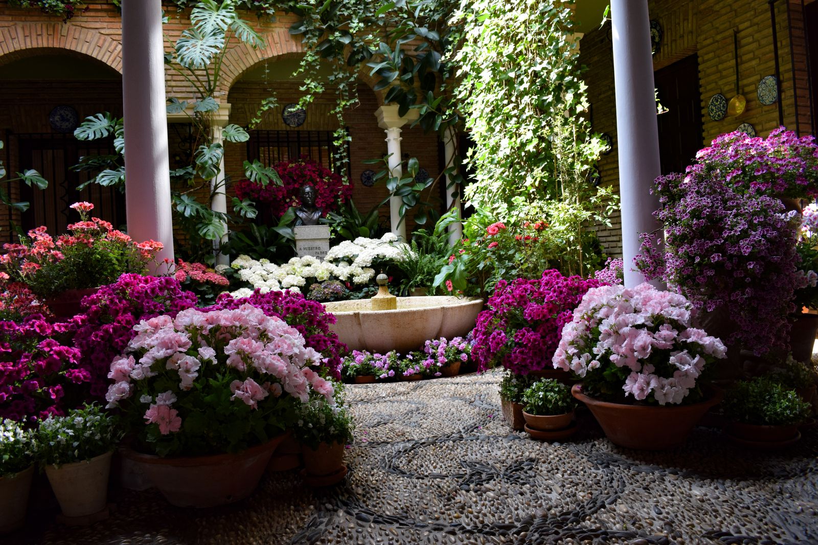 Ruta Judería-San Francisco: Maese Luis 4