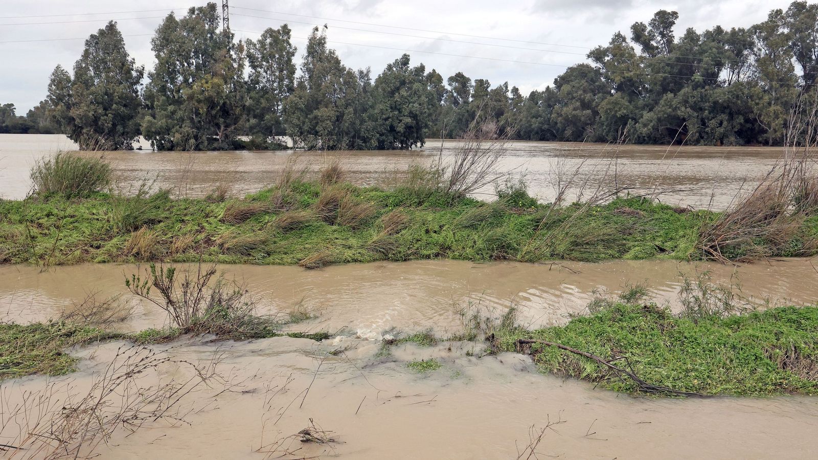 El Guadalete comienza a bajar su nivel poco a poco por la zona rural de Jerez