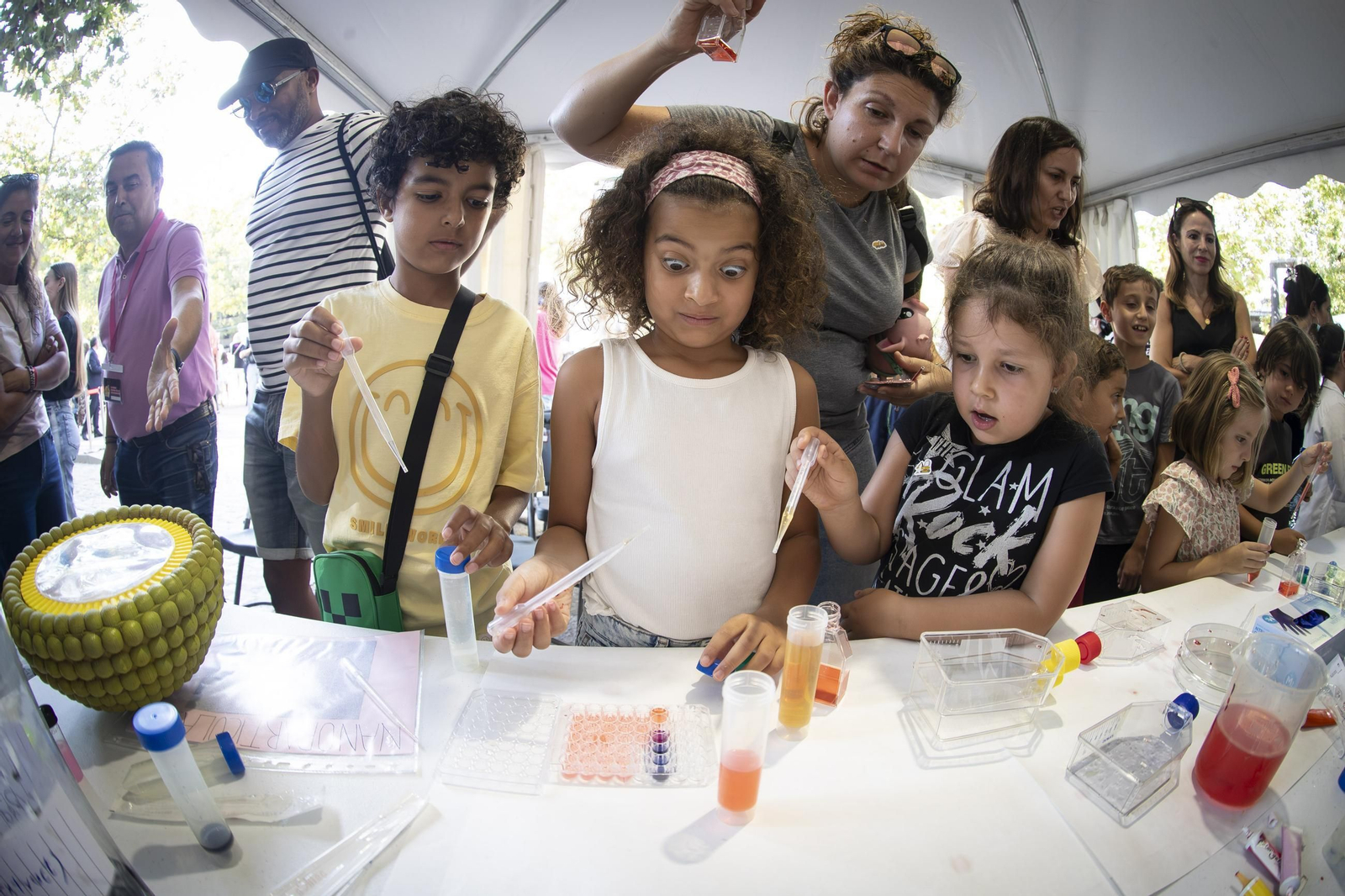 Noche Europea de los (14896756).jpg