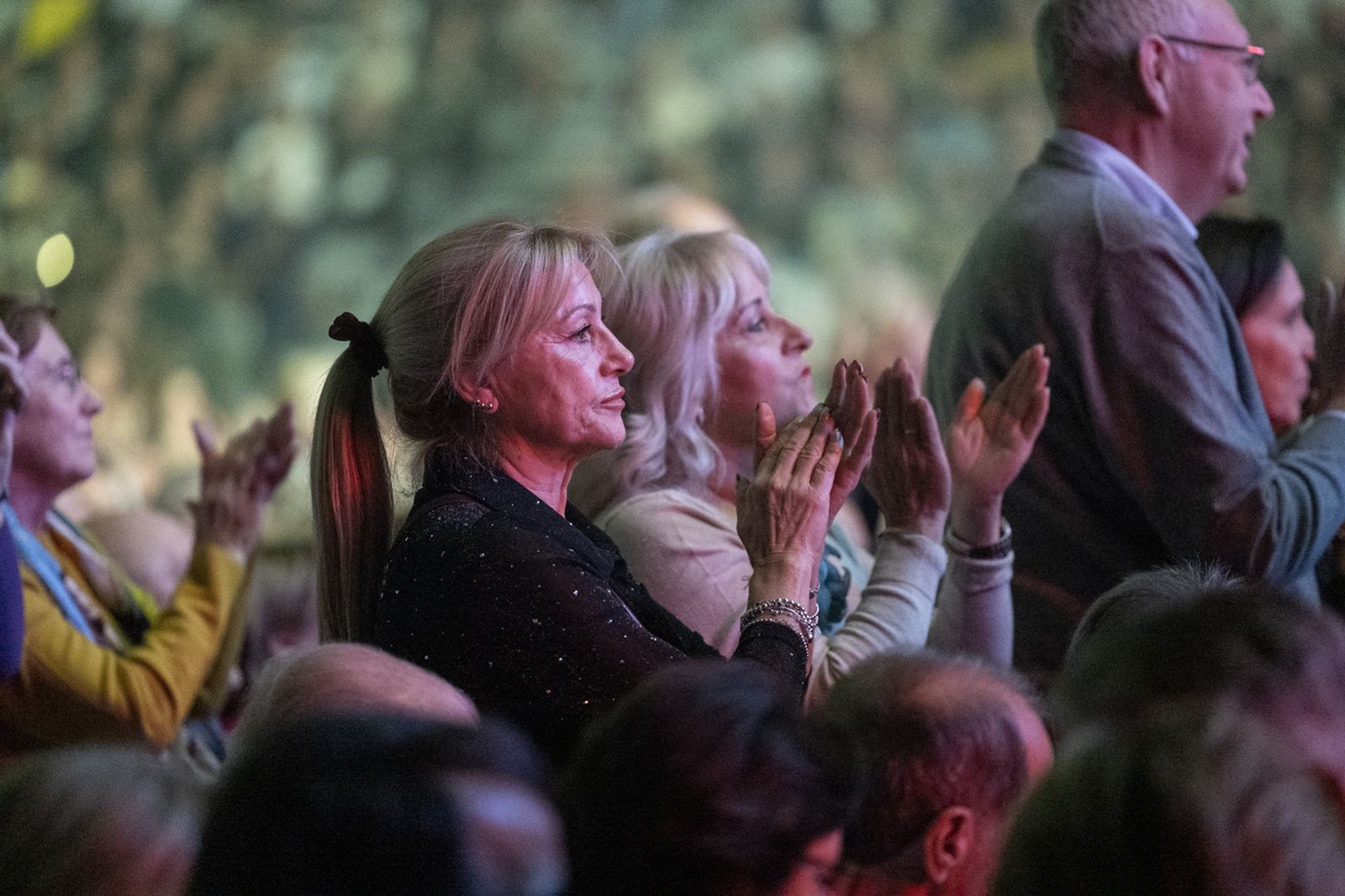 Así se disfruta en Jaén del concierto de Raphael, "Raphaelísimo"