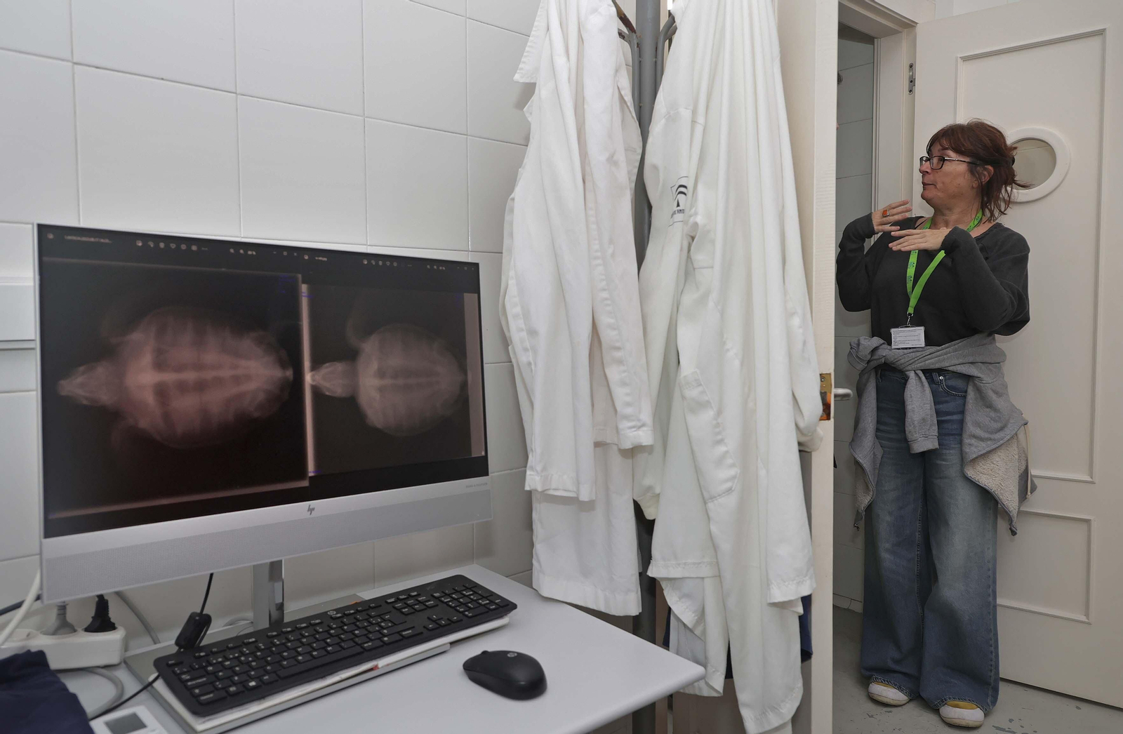 El Centro de Gestión del Medio Marino Andaluz (CEGMA) de Algeciras, en imágenes