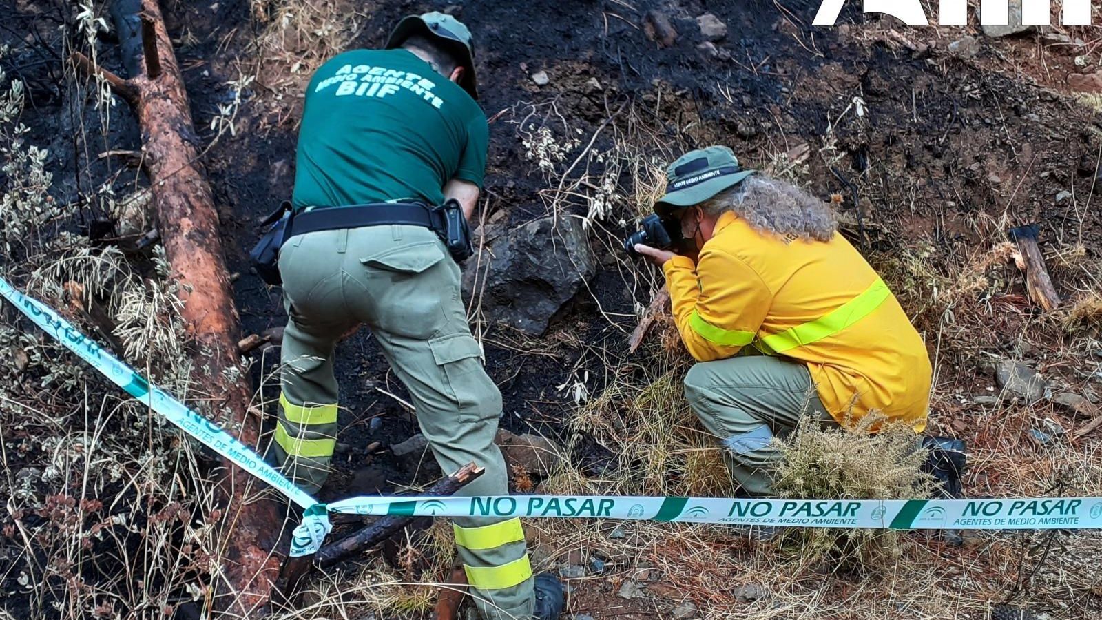 Agentes durante una inspección ocular en el incendio de Sierra Bermeja. Agentes durante una inspección ocular en el incendio de Sierra Bermeja.