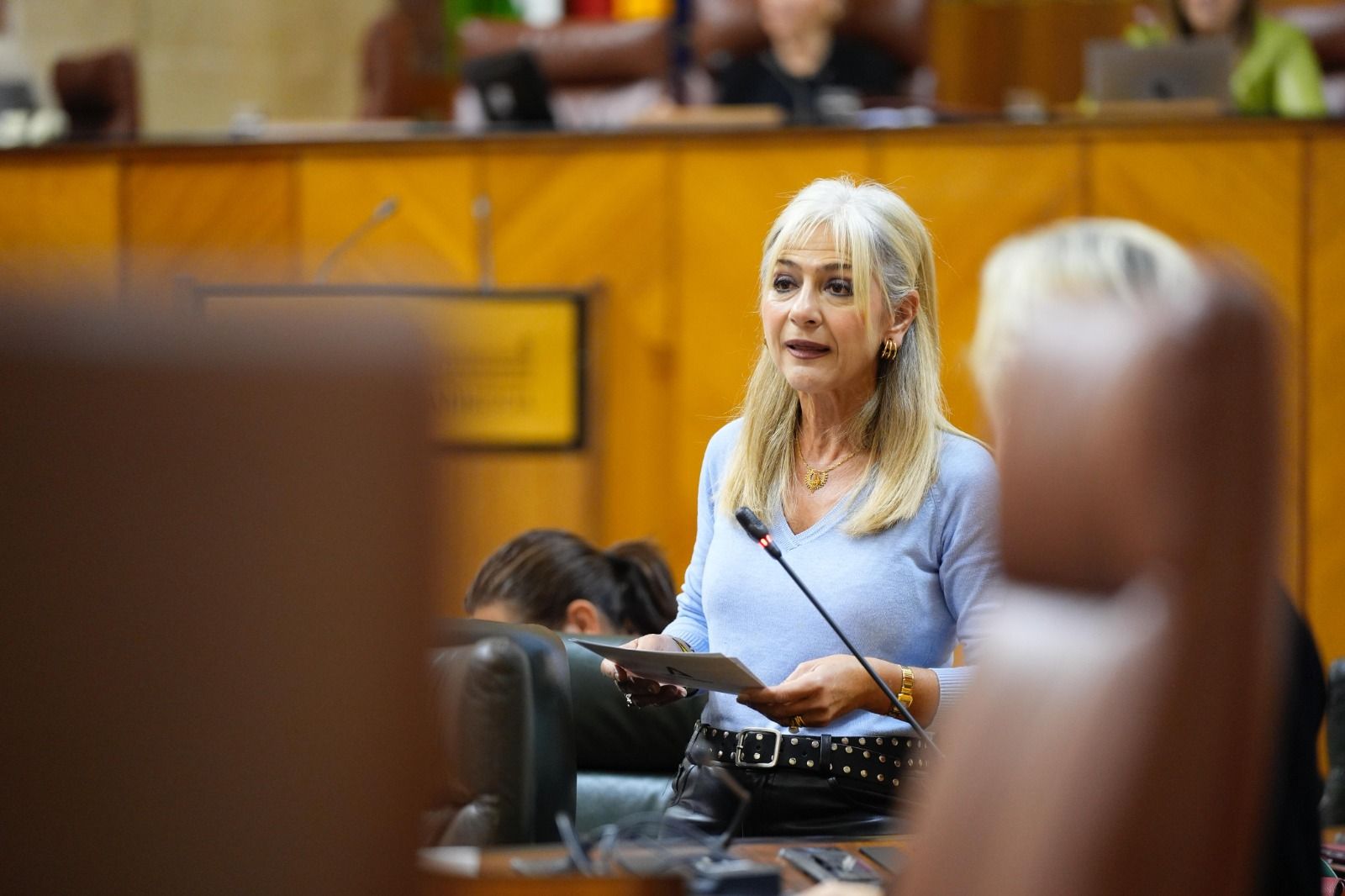 Patricia del Pozo en su comparecencia este jueves en el Parlamento andaluz.