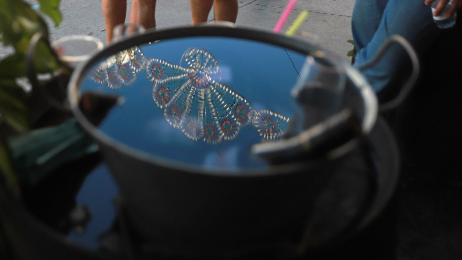 Las mejores fotos del lunes de Feria en Algeciras