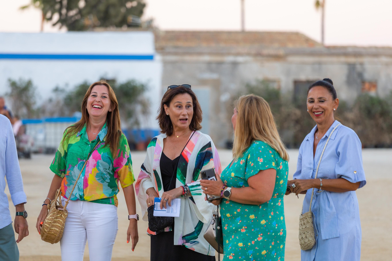 Búscate en el concierto de Raphael en el Concert Music