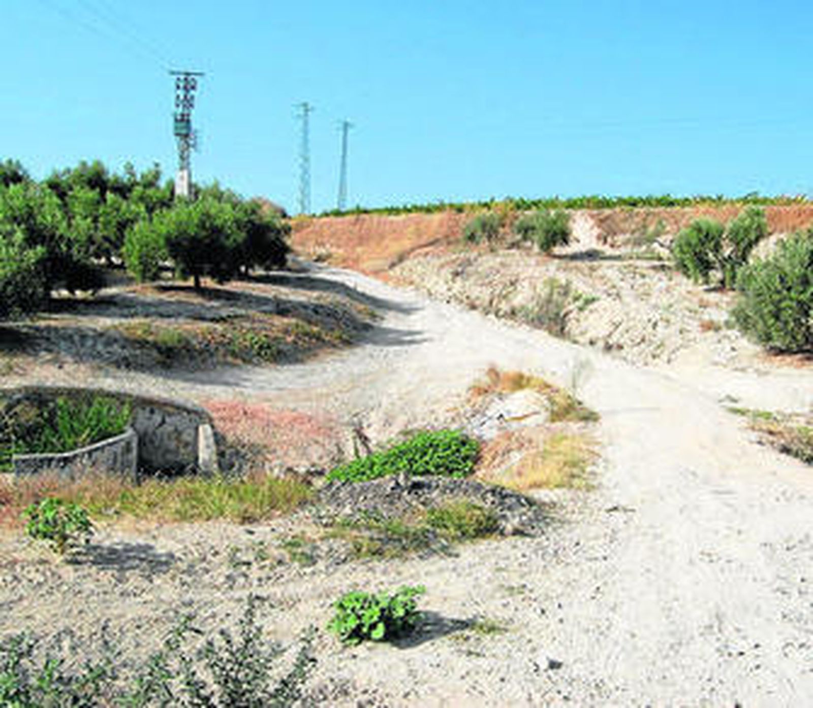 Uno de los caminos rurales de Baena.