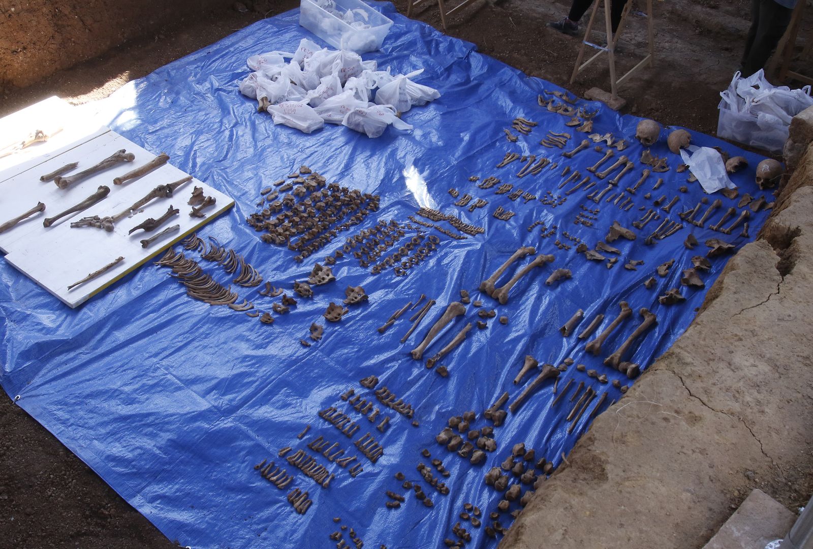 Visita a la fosa de Pico Reja