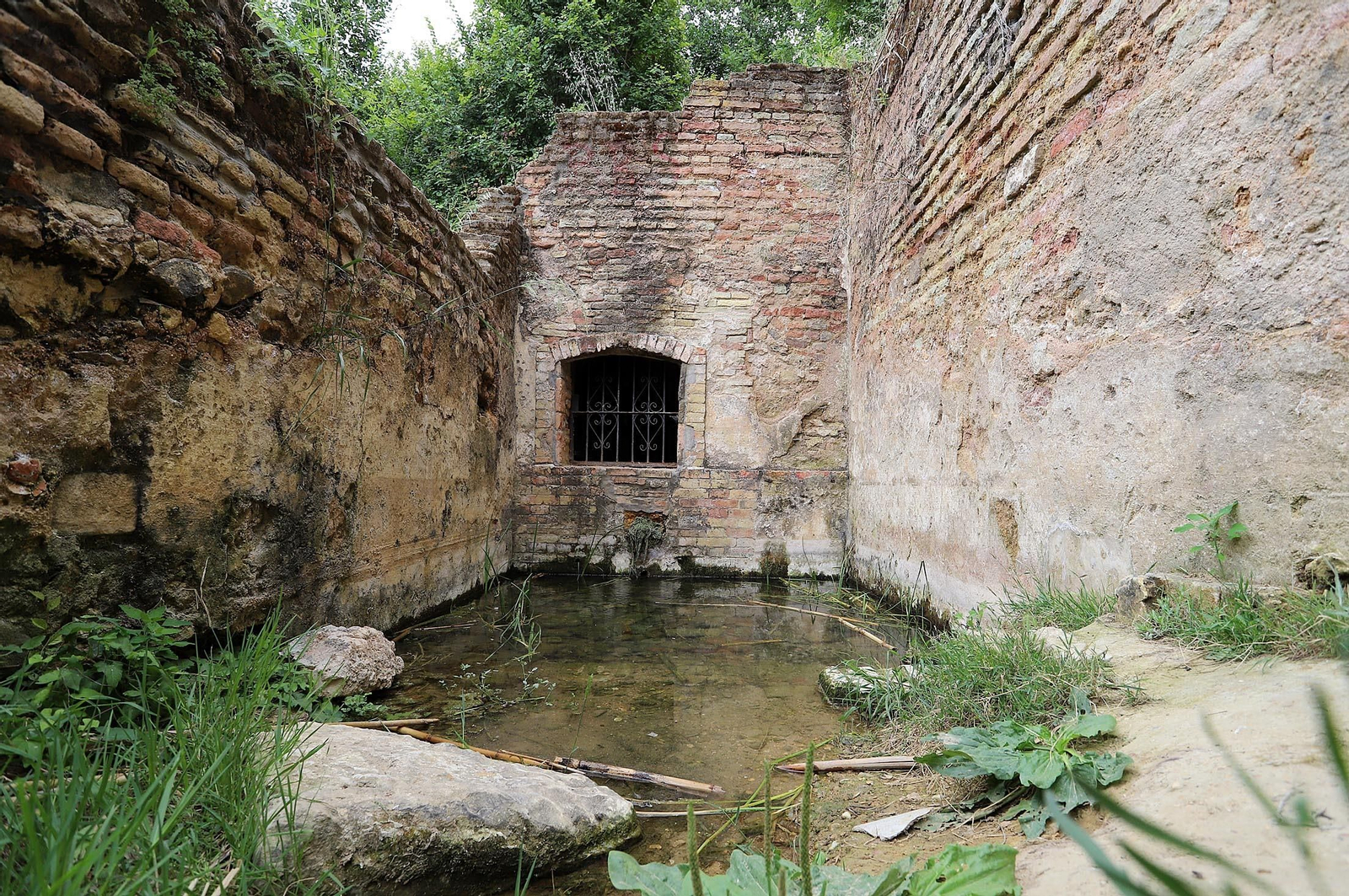 Imágenes del estado de abandono en el que se encuentra la Fuente Vieja y su entorno