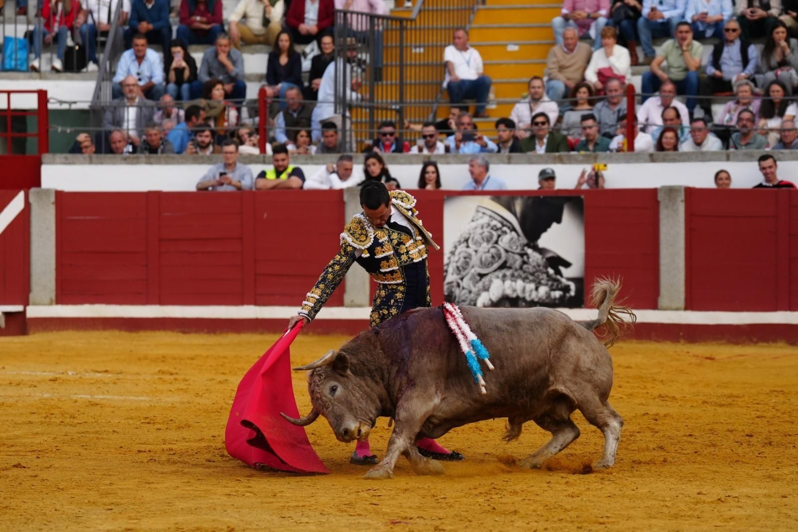 La corrida triunfal de Castella, Manzanares y Roca Rey en Pozoblanco, en imágenes