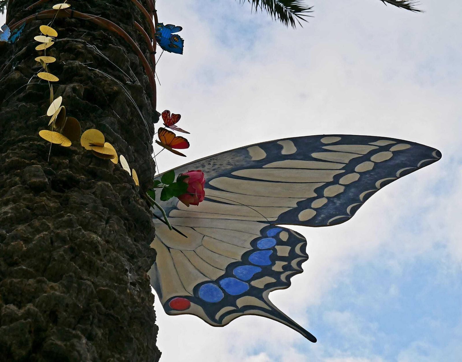 Un paseo en imágenes por las Calles en Flor de Cañete de las Torres