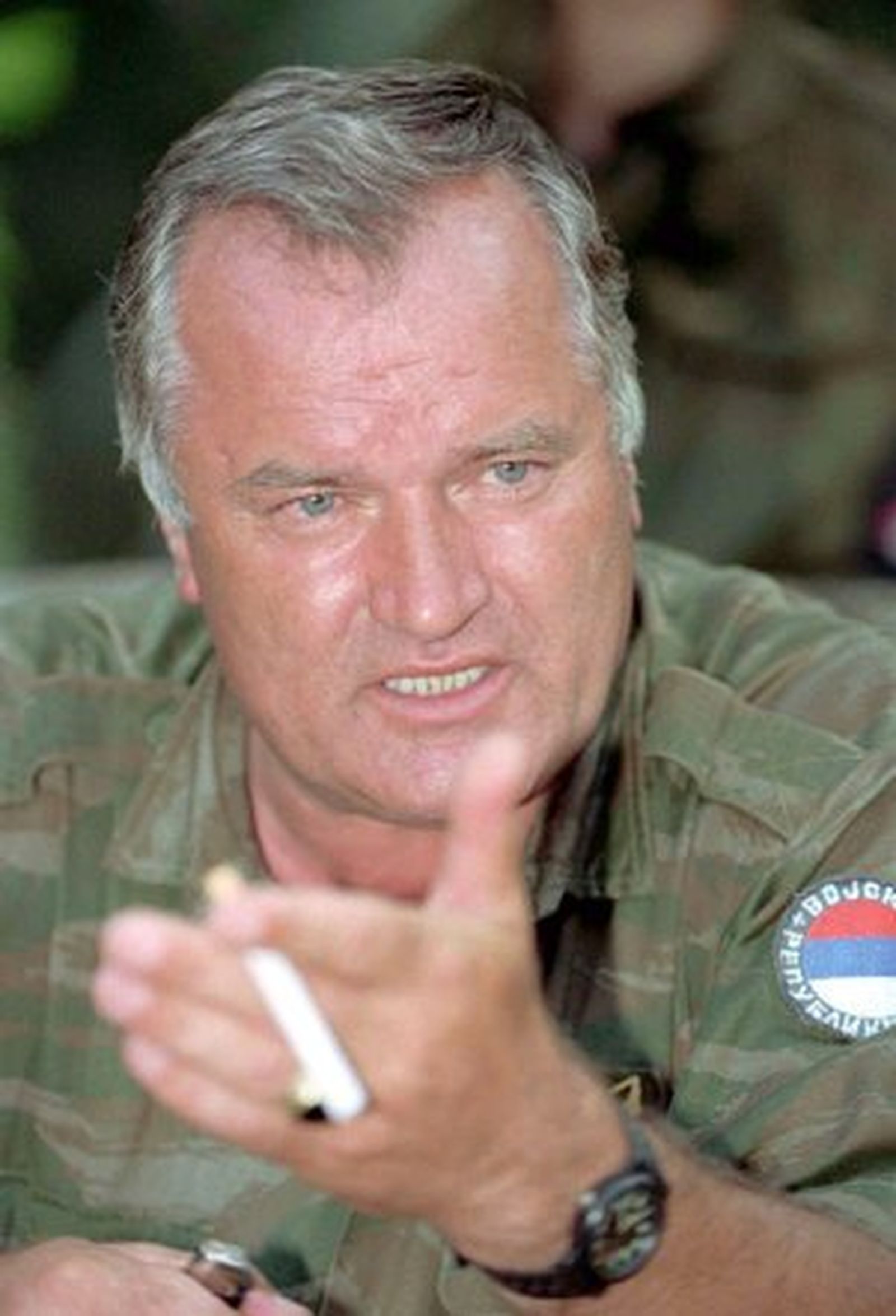 Mladic, en condiciones de afrontar un juicio