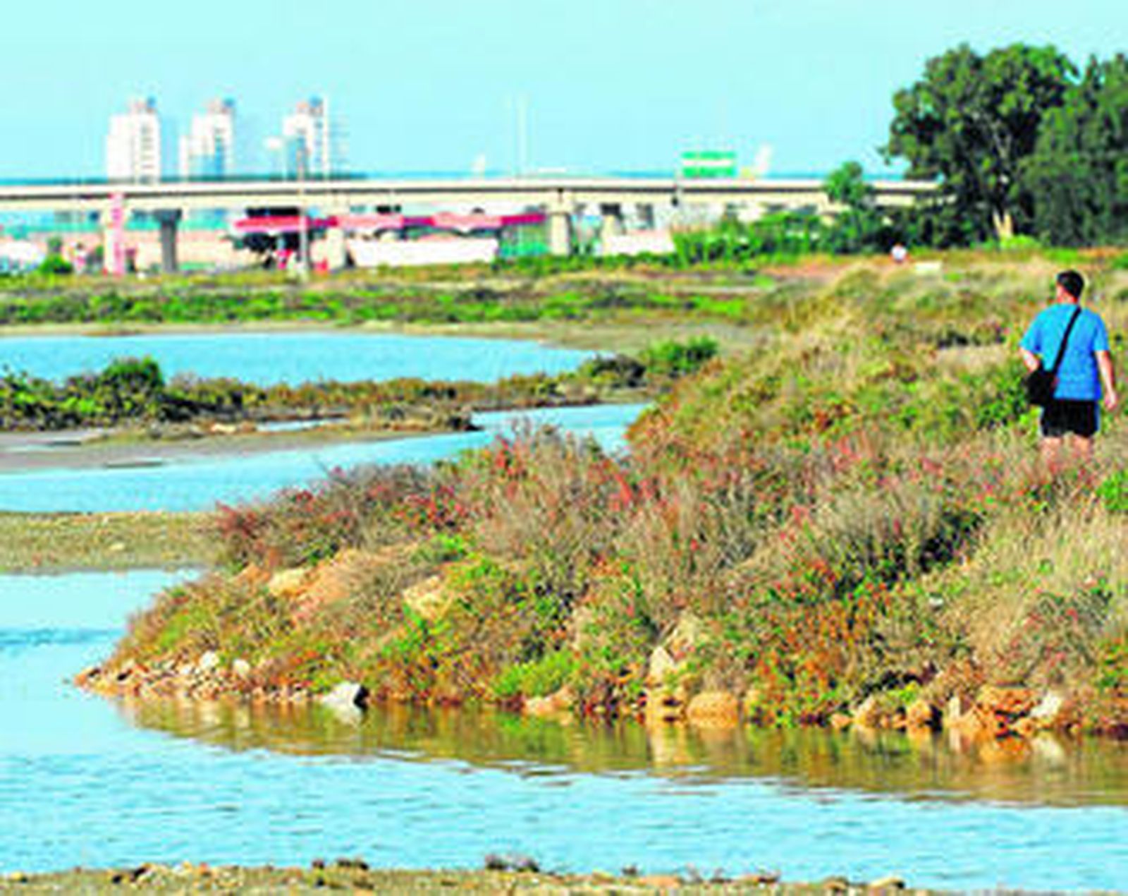 Sendero que discurre por la zona de la salina de Tres Amigos.