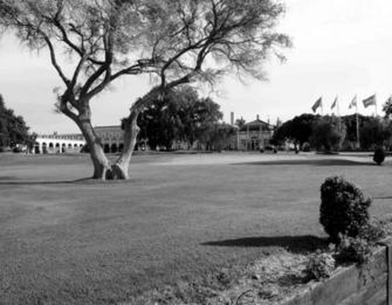 Vista general de Montenmedio, ayer. Al fondo a la izquierda se aprecian las primeras vallas de obras.