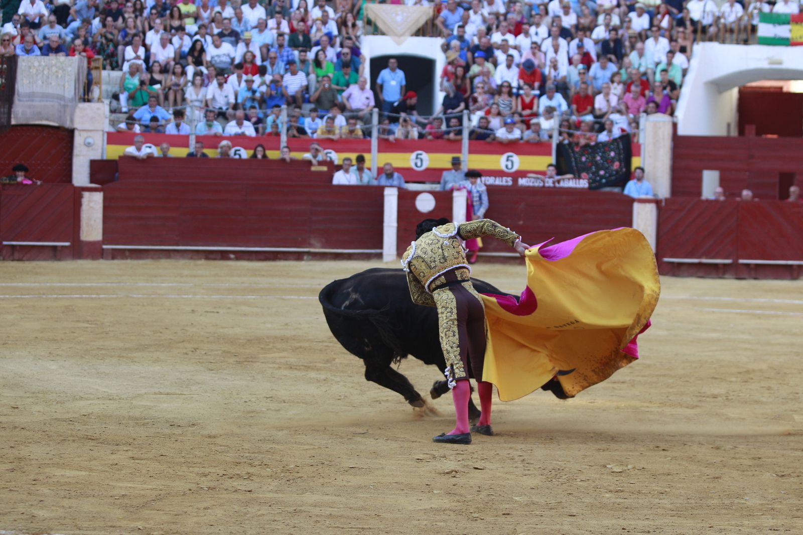 Imágenes del triunfo del torero almeriense Jorge Martínez el día de su alternativa