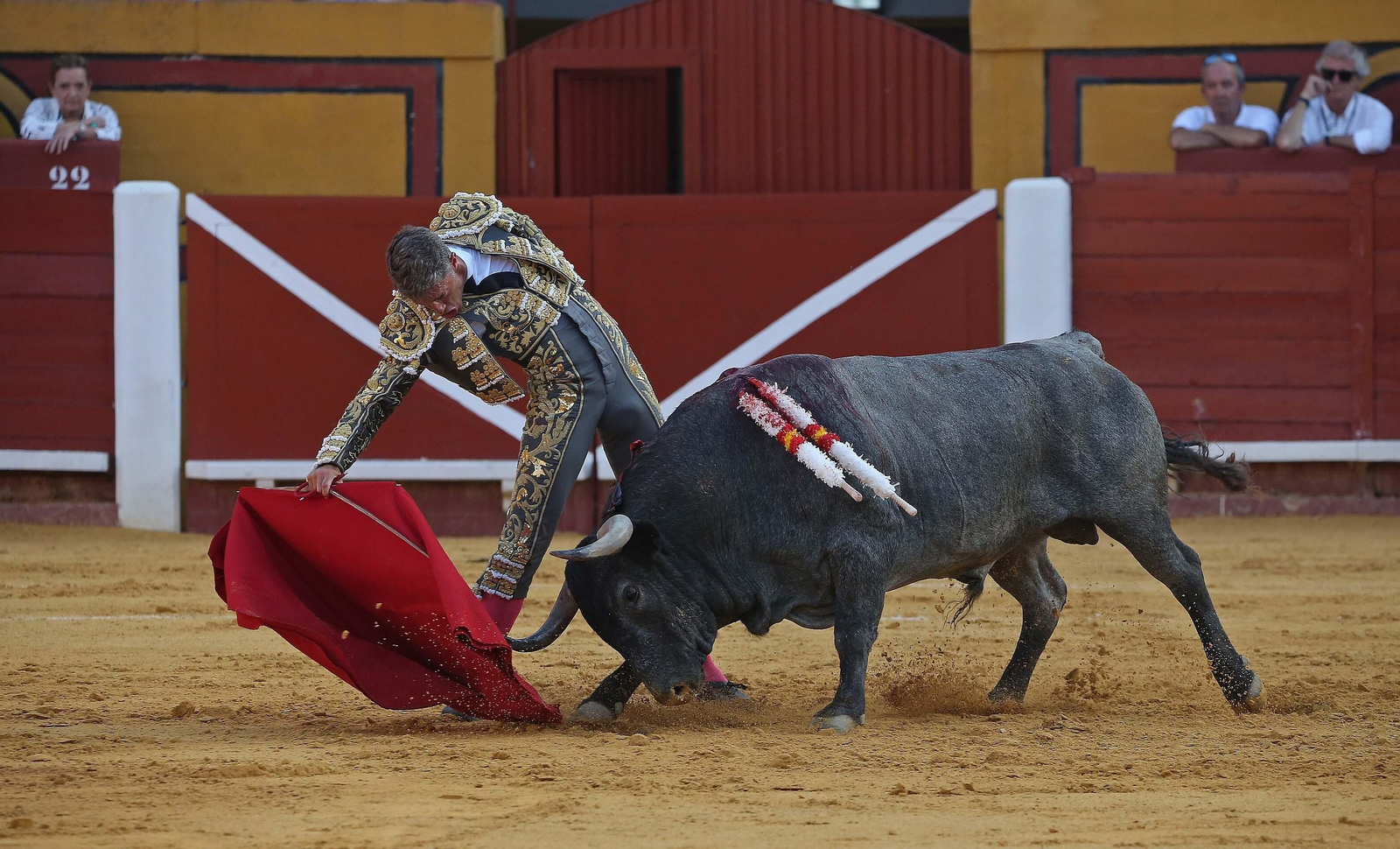 Fotos de la corrida del sábado de la Feria Taurina de Algeciras 2023: Antonio Ferrera, Manuel Escribano y Miguel Ángel Pacheco