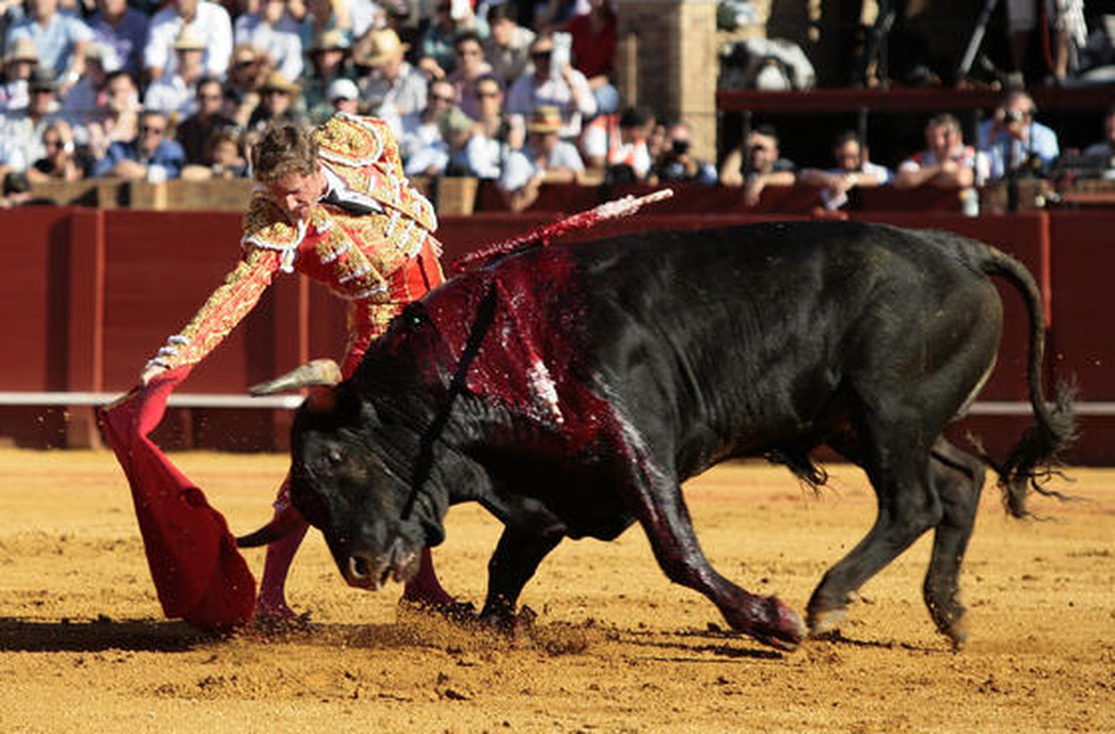José Luis Moreno abre la última tarde de Feria en la Maestranza.

Foto: Juan Carlos Muñoz