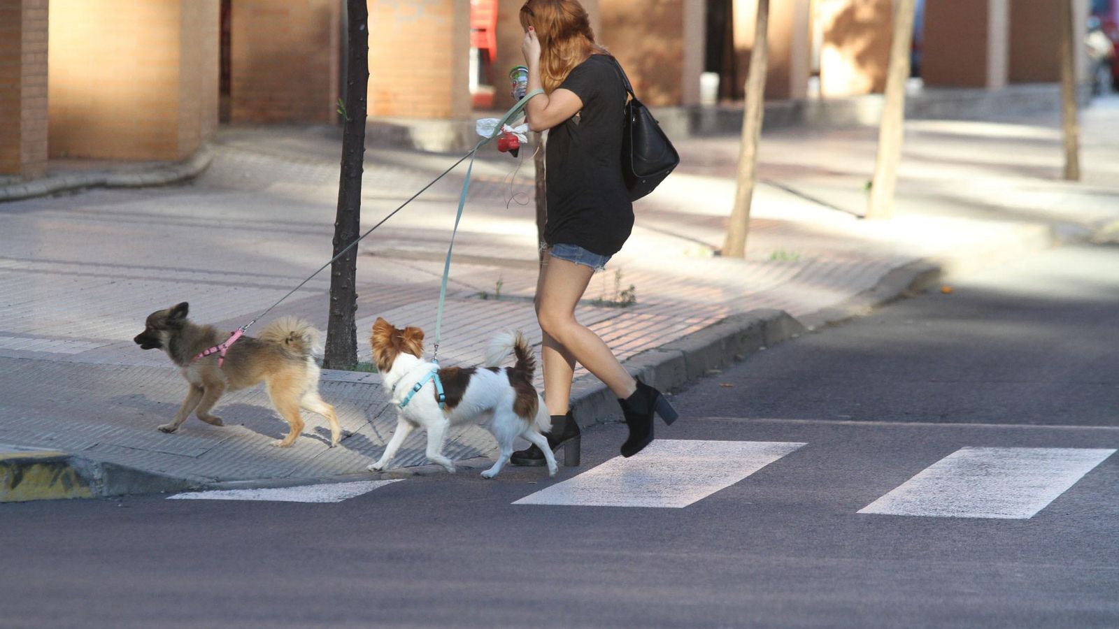 Una chica lleva las  bolsas y la botella para recoger las heces y limpiar los orines
