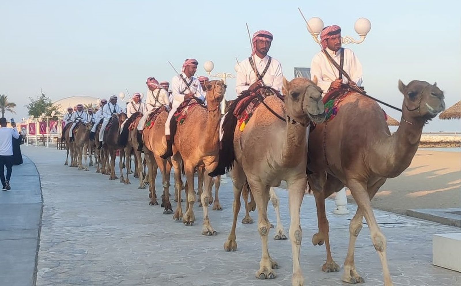 'Virus del camello':  ¿Puede llegar a Europa el 'coronavirus' letal que ha puesto en peligro el Mundial de Qatar?