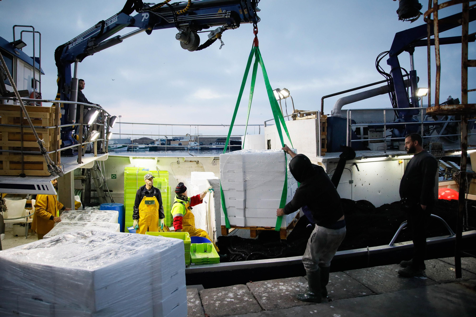 Te contamos en imágenes como ha sido la descarga de las traiñas en la lonja de Almería