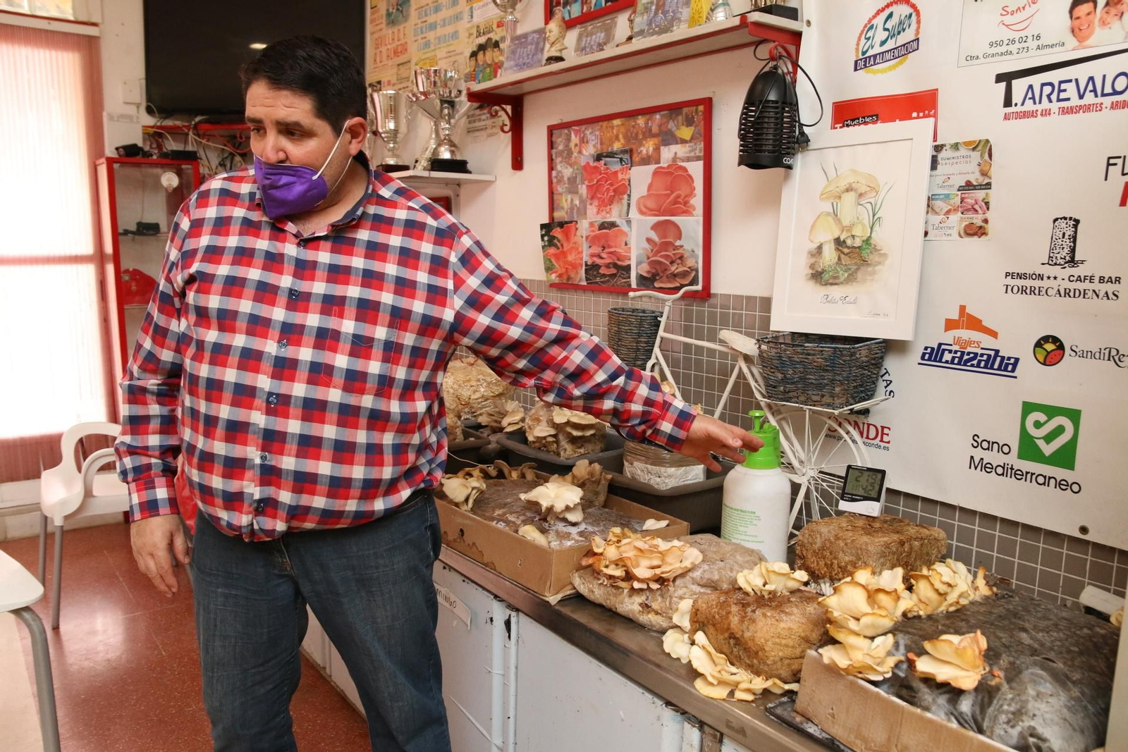 Fotogalería del Reino de las Setas